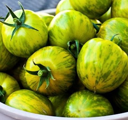 "Green Zebra" Tomato Seeds for Planting, 50+ Heirloom Seeds Per Packet, (Isla's Garden Seeds), Non GMO Seeds, Botanical Name: Solanum lycopersicum, Great Home Garden Gift