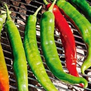 Pepper Joe’s Italian Roaster Pepper Seeds ­­­­­– Pack of 10+ Sweet and Mild Pepper Seeds – USA Grown ­– Premium Non-GMO Italian Pepper Seeds for Planting in Your Garden