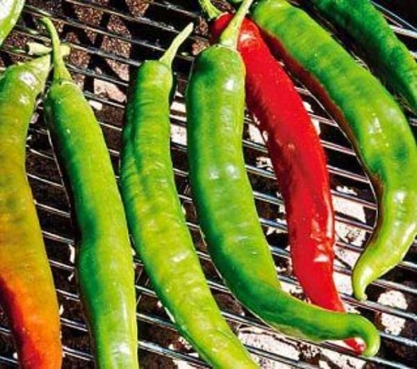 Pepper Joe’s Italian Roaster Pepper Seeds ­­­­­– Pack of 10+ Sweet and Mild Pepper Seeds – USA Grown ­– Premium Non-GMO Italian Pepper Seeds for Planting in Your Garden