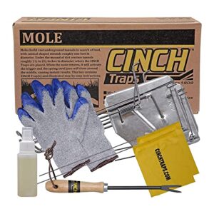 cinch deluxe mole trap kit- small (2 packs) heavy duty, reusable rodent trapping system, weather resistant, outdoor use – for lawns, gardens, sports fields, ranches, farm lands, yards and more