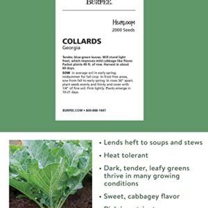 Burpee Georgia Collards Seeds 2000 seeds