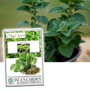 greek oregano herb seeds for planting, 2500+ seeds per packet, (isla’s garden seeds), non gmo & heirloom seeds, botanical name: origanum vulgare, great herb garden gift