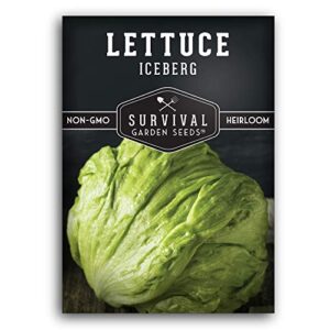 survival garden seeds – iceberg lettuce seed for planting – packet with instructions to plant and grow crisp head lettuce in your home vegetable garden – non-gmo heirloom variety