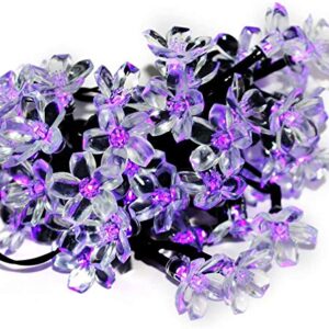 Kyson Solar Fairy String Lights 21ft 50 LED Purple Blossom Decorative Gardens, Lawn, Patio, Christmas Trees, Weddings, Parties
