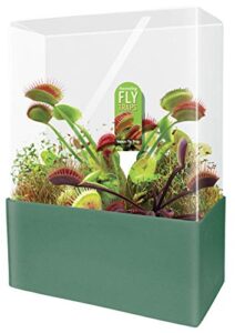 unique gardener grow your own venus fly trap – complete kids terrarium kit to plant fascinating man eating fly traps – includes everything needed to get started