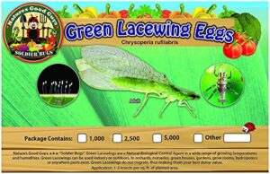 naturesgoodguys – green lacewing eggs (2500 eggs)