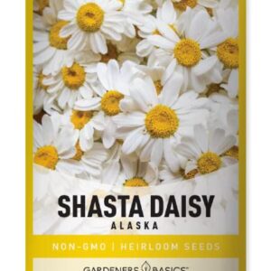 White Shasta Daisy Flower Seeds for Planting (Alaska, Chrysanthemum Maximum) Perennial Heirloom, Non-GMO Flowers Seed Variety- 500mg Seeds Great for Summer Cut Flower Gardens by Gardeners Basics