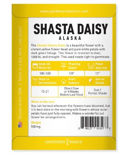 White Shasta Daisy Flower Seeds for Planting (Alaska, Chrysanthemum Maximum) Perennial Heirloom, Non-GMO Flowers Seed Variety- 500mg Seeds Great for Summer Cut Flower Gardens by Gardeners Basics