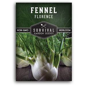 Survival Garden Seeds - Fennel Seed for Planting - Packet with Instructions to Plant and Grow Cool-Weather Florence Fennel (Finnochio) in Your Home Vegetable Garden - Non-GMO Heirloom Variety