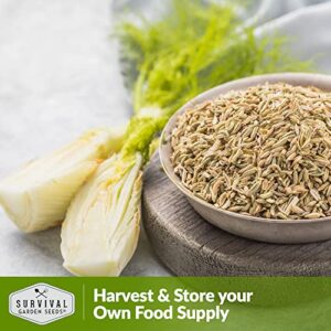 Survival Garden Seeds - Fennel Seed for Planting - Packet with Instructions to Plant and Grow Cool-Weather Florence Fennel (Finnochio) in Your Home Vegetable Garden - Non-GMO Heirloom Variety