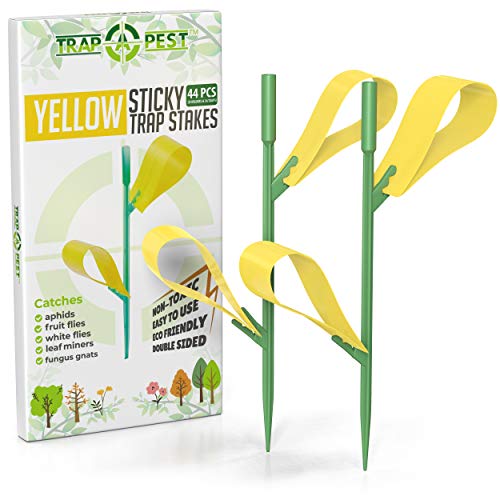 Houseplant Sticky Stakes - Yellow Sticky Traps for Gnats Indoor and Outdoor - Gnat Traps for House Plants (44 Traps)