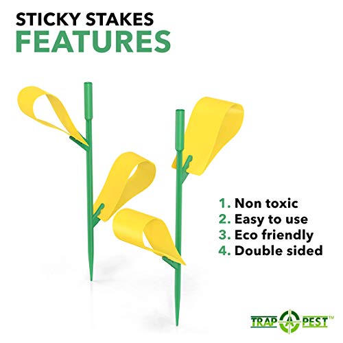 Houseplant Sticky Stakes - Yellow Sticky Traps for Gnats Indoor and Outdoor - Gnat Traps for House Plants (44 Traps)
