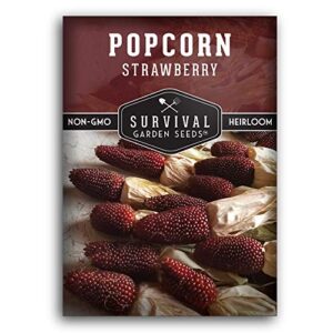 survival garden seeds – strawberry popcorn seed for planting – packet with instructions to plant and grow garnet kernel ornamental popcorn in your home vegetable garden – non-gmo heirloom variety