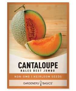 cantaloupe seeds for planting – hales best jumbo heirloom, non-gmo vegetable variety- 1 gram approx 45 seeds great for summer melon gardens by gardeners basics
