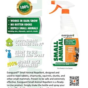 Everguard ADPAR032 Purpose Small Animal Repellent, Dries Clear