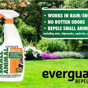 Everguard ADPAR032 Purpose Small Animal Repellent, Dries Clear