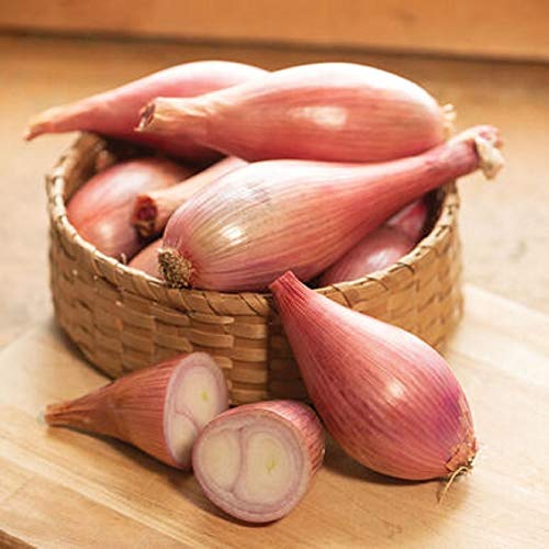 David's Garden Seeds Shallot Creme Brulee 1658 (Pink) 50 Non-GMO, Hybrid Seeds