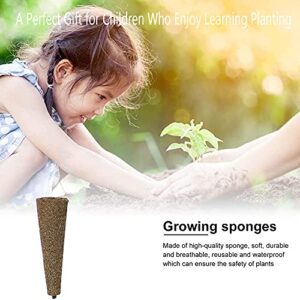 Aooccder Seed Starter Grow Sponges for Aerogarden, PH-Balanced Refill-Seed Pods Replacements for Indoor Hydroponic System,50 Pack, Brown