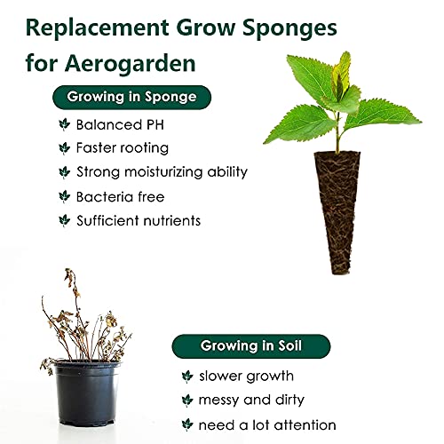 Aooccder Seed Starter Grow Sponges for Aerogarden, PH-Balanced Refill-Seed Pods Replacements for Indoor Hydroponic System,50 Pack, Brown