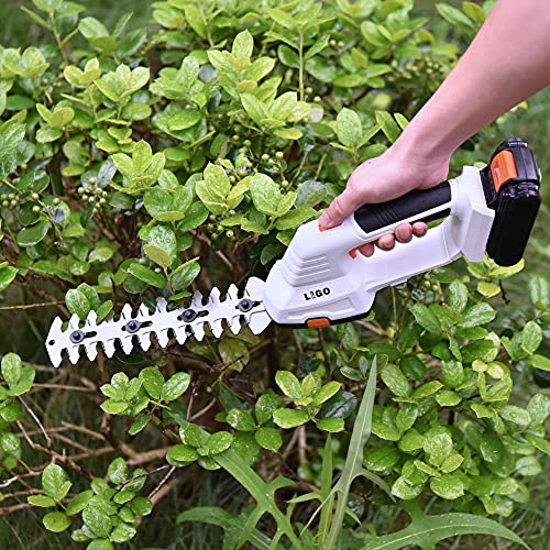 LIGO 20V Cordless Grass Shear for Gardening, 2000mAh Lithium-ion 2 in 1 Battery Hedge Trimmer, Shear Shubber Trimmer Including Battery and Charger