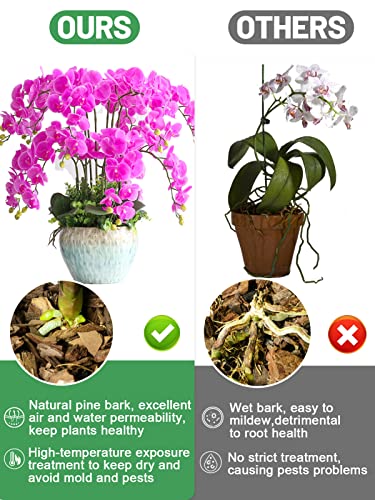 5 Quarts Orchid Potting Bark, Sun-Dried New Zealand Medium Organic Pine Wood Chip Barks for Orchids Mix Plant Compost, Natural Houseplant Mulch for Plant Root Development