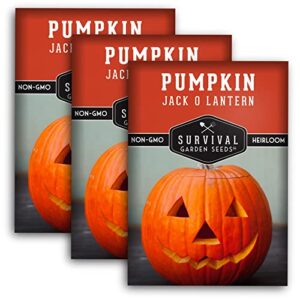 survival garden seeds – jack-o-lantern pumpkin seed for planting – 3 packs with instructions to plant and grow orange carving pumpkins in your home vegetable garden – non-gmo heirloom variety