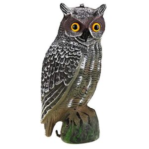 amonida prowler owl garden, prowler owl, eye/eye not backyards for garden yard(ordinary paragraph)