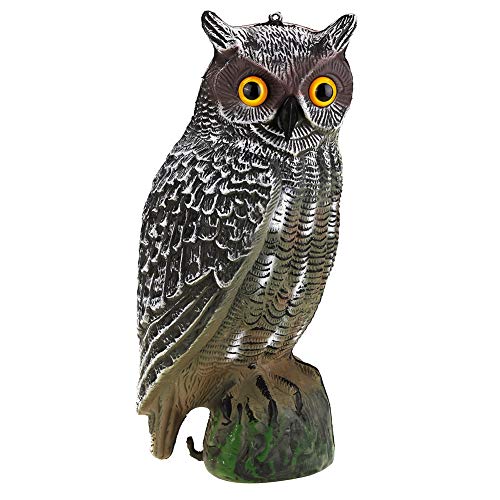 AMONIDA Prowler Owl Garden, Prowler Owl, Eye/Eye Not Backyards for Garden Yard(Ordinary Paragraph)