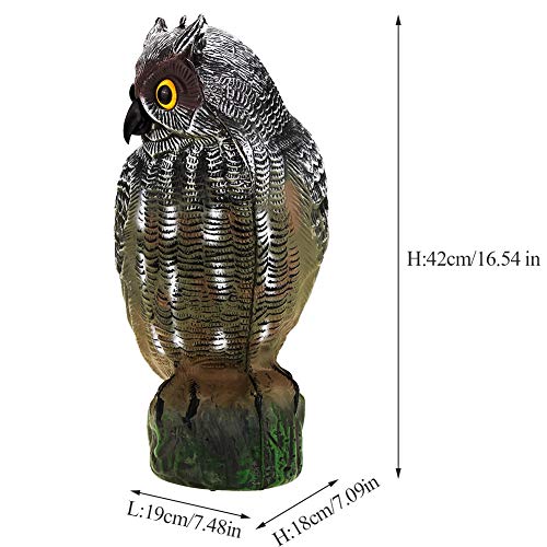 AMONIDA Prowler Owl Garden, Prowler Owl, Eye/Eye Not Backyards for Garden Yard(Ordinary Paragraph)