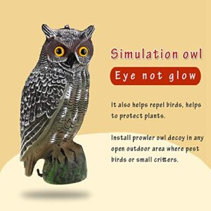 AMONIDA Prowler Owl Garden, Prowler Owl, Eye/Eye Not Backyards for Garden Yard(Ordinary Paragraph)