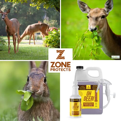 Deer Repellent; Zone Protects Oh Deer! Deer and Animal Repellent Spray/Concentrate Bundle. Keep Deer and Rabbits Out of Your Garden. One Ready-to-Use Gallon Plus One Concentrate