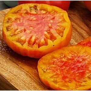 virginia sweets tomato seeds (20+ seeds) | non gmo | vegetable fruit herb flower seeds for planting | home garden greenhouse pack