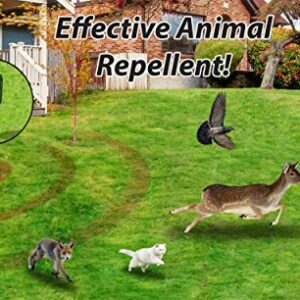 GARDEN SECRETS Compact Solar Ultrasonic Animal Repellent. Skunk Raccoon Deer Coyote Cat Rat Mice etc Deterrent. Keep Pests Away from Your Property Within 2-4 Weeks. Whole Year Full Warranty (1)