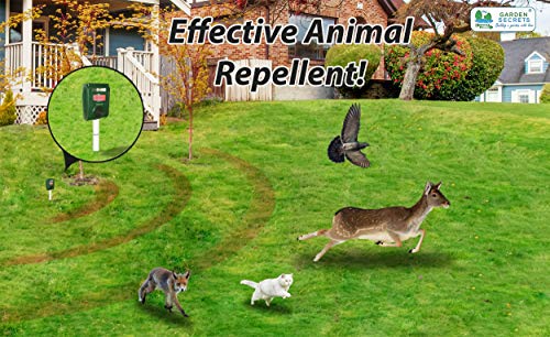 GARDEN SECRETS Compact Solar Ultrasonic Animal Repellent. Skunk Raccoon Deer Coyote Cat Rat Mice etc Deterrent. Keep Pests Away from Your Property Within 2-4 Weeks. Whole Year Full Warranty (1)