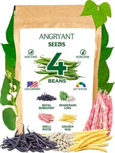 bean seeds 4 variety pack – non gmo, heirloom seeds for planting indoor, outdoor, and hydroponic vegetable garden – 100% usa grown – including royal burgundy, henderson lima, shell pinto, golden wax