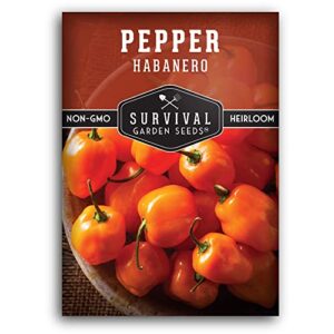 Survival Garden Seeds - Orange Habanero Seed for Planting - Packet with Instructions to Plant and Grow Hot Chili Peppers in Your Home Vegetable Garden - Non-GMO Heirloom Variety