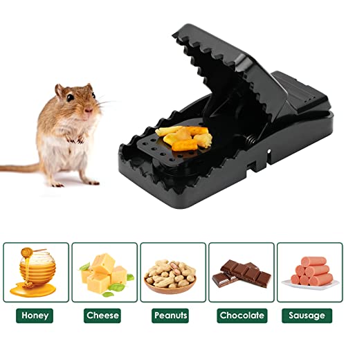 12 Pack Mouse Trap with 1 clamp Mouse Traps Indoor for Home Humane Mouse Traps with 12 Trap Sticky mice Traps and Powerful Mousetrap for Living Room Kitchen Garden Balcony