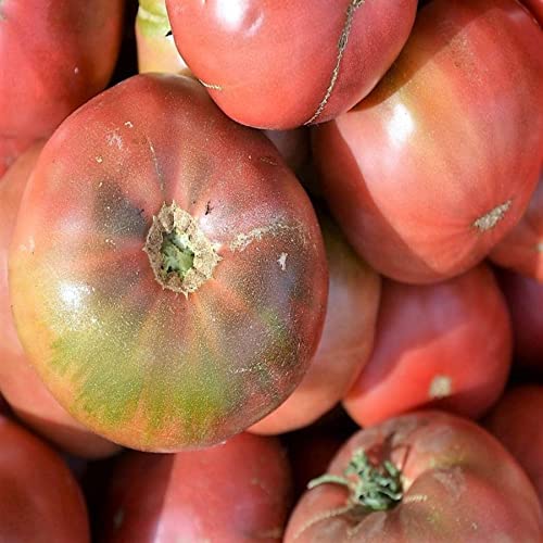 PAPAW'S GARDEN SUPPLY LLC. HELPING THE NEXT GENERATION GROW! Cherokee Purple Heirloom Tomato Seeds, Non-GMO, 1 Pack of 20 Seeds