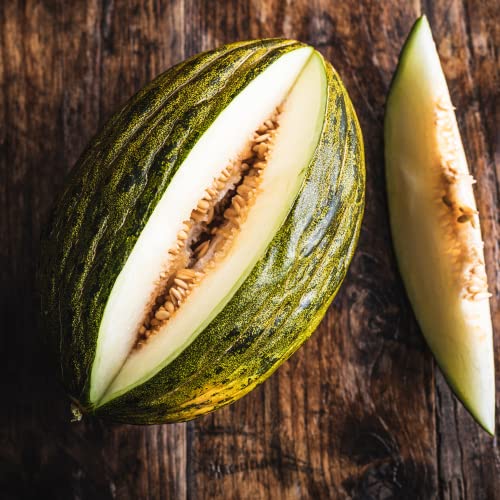 CHUXAY GARDEN Piel de Sapo Melon Seed,Christmas,Santa Claus Melon 15 Seeds Juicy Sweet Fruit Edible Melon Healthy Gardening Gifts