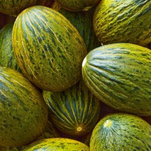 CHUXAY GARDEN Piel de Sapo Melon Seed,Christmas,Santa Claus Melon 15 Seeds Juicy Sweet Fruit Edible Melon Healthy Gardening Gifts