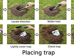 MOLE Trap (Pack of 2) LASSO Galvanized & Oil Hardened Steel// Super Cost-Effective, Reusable, Durable Animal Best in The Lawn, Yard, Garden, Farm, All Outdoor Settings w/ Manual (Small) 2 1/8inch