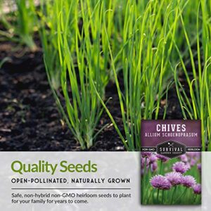 Survival Garden Seeds - Common Chives Seed for Planting - Packet with Instructions to Plant and Grow Delicious Perennial Herbs in Your Home Vegetable Garden - Non-GMO Heirloom Variety