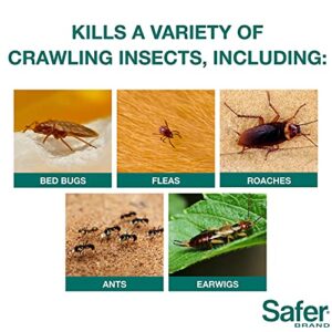 Safer Brand 51703 OMRI Listed Diatomaceous Earth - Ant, Roach, Bedbug, Flea, Silverfish, Earwig, & Crawling Insect Killer