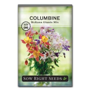 sow right seeds – mckana giants columbine flower seeds for planting – beautiful flowers to plant in your home pollinator garden – non-gmo heirloom seeds – multicolor perennial – great gardening gift