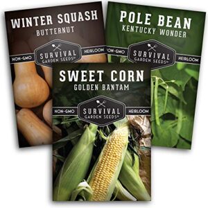 Survival Garden Seeds Three Sisters Collection Seed Vault - Non-GMO Heirloom Seeds for Planting Vegetables - Sweetcorn, Butternut Winter Squash & Pole Beans for Growing on Your Homestead