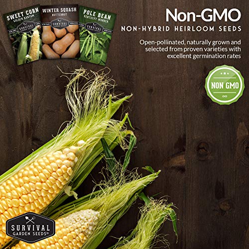 Survival Garden Seeds Three Sisters Collection Seed Vault - Non-GMO Heirloom Seeds for Planting Vegetables - Sweetcorn, Butternut Winter Squash & Pole Beans for Growing on Your Homestead