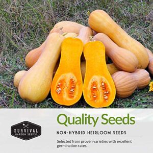 Survival Garden Seeds Three Sisters Collection Seed Vault - Non-GMO Heirloom Seeds for Planting Vegetables - Sweetcorn, Butternut Winter Squash & Pole Beans for Growing on Your Homestead