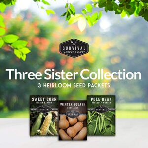 Survival Garden Seeds Three Sisters Collection Seed Vault - Non-GMO Heirloom Seeds for Planting Vegetables - Sweetcorn, Butternut Winter Squash & Pole Beans for Growing on Your Homestead