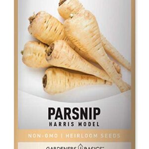 Parsnip Seeds for Planting - Harris Model Heirloom, Non-GMO Vegetable Variety- 1 Gram Approx 200 Seeds Great for Summer, Fall, and Winter Gardens by Gardeners Basics