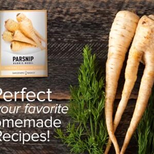 Parsnip Seeds for Planting - Harris Model Heirloom, Non-GMO Vegetable Variety- 1 Gram Approx 200 Seeds Great for Summer, Fall, and Winter Gardens by Gardeners Basics